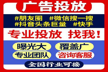 搜索引擎营销（SEM）的投放策略与效果评估——以某行业领先企业的案例分析